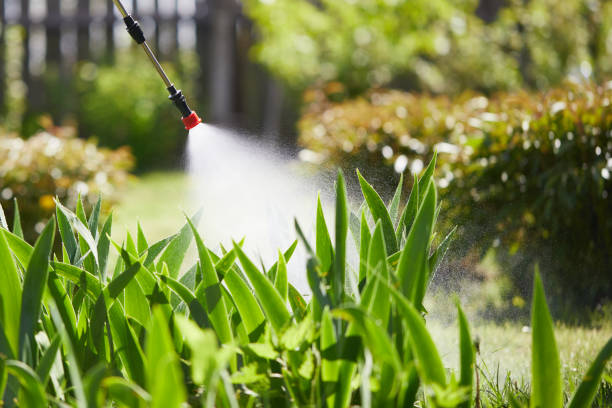 24/7 Emergency Wasp Removal experts in Galesburg, MI