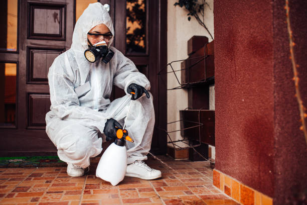 Reliable Wasp Removal contractor in Galesburg, MI by Show Me Pest Control